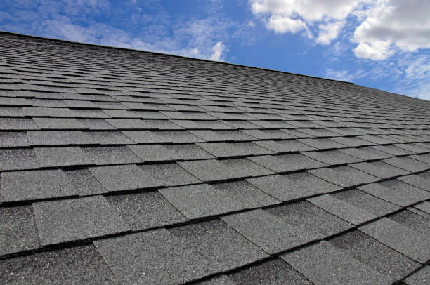 Best Roof Maintenance and Cleaning  in Lantana, TX